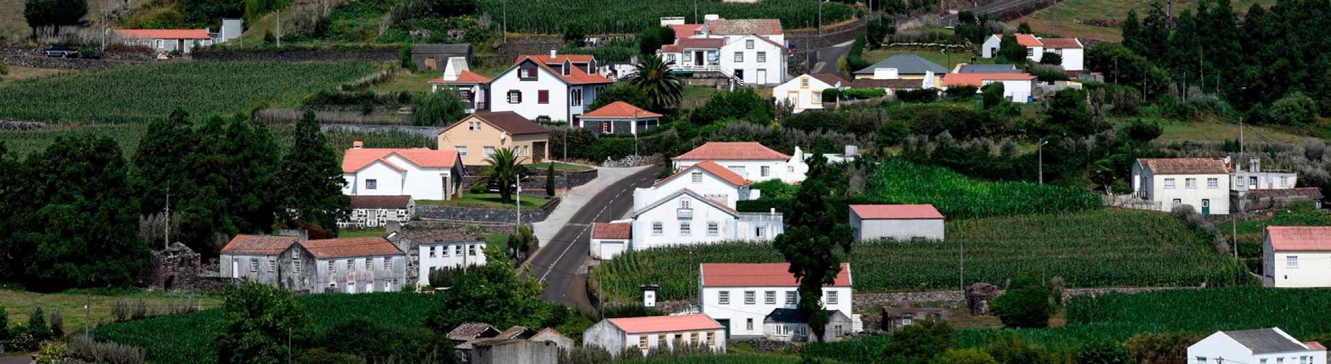 Balcão Virtual